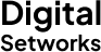 Digital Setworks Logo